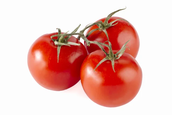 Drei Kirschtomaten — Stockfoto