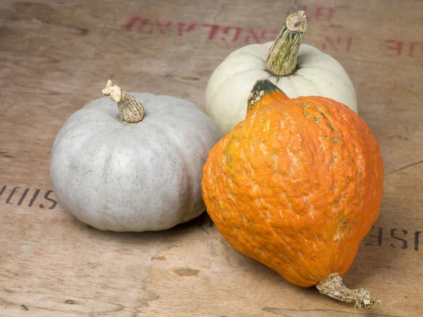 Three pumpkins — Stock Photo, Image