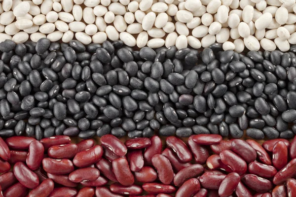 Three types of food grains — Stock Photo, Image