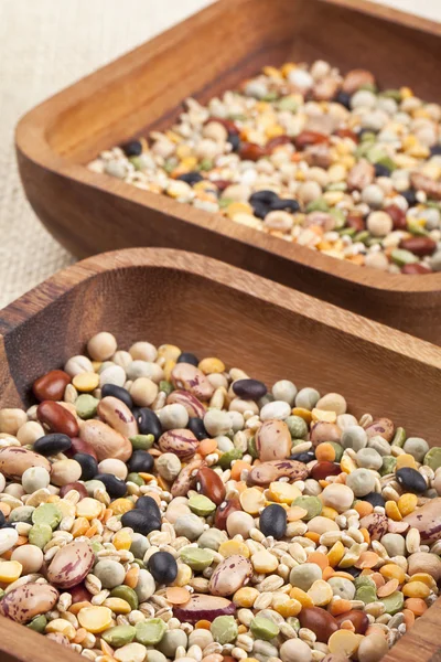 Two wooden bowls of assorted beans — Stock Photo, Image