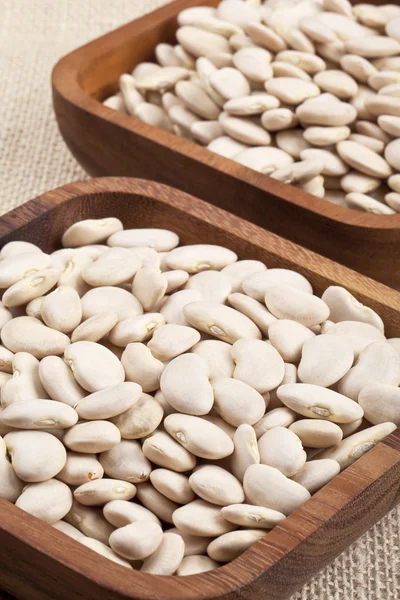 Uncooked white beans — Stock Photo, Image