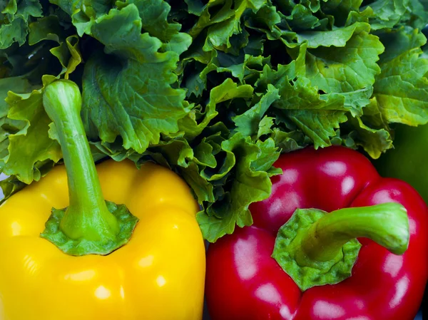 Vegetables on white — Stock Photo, Image