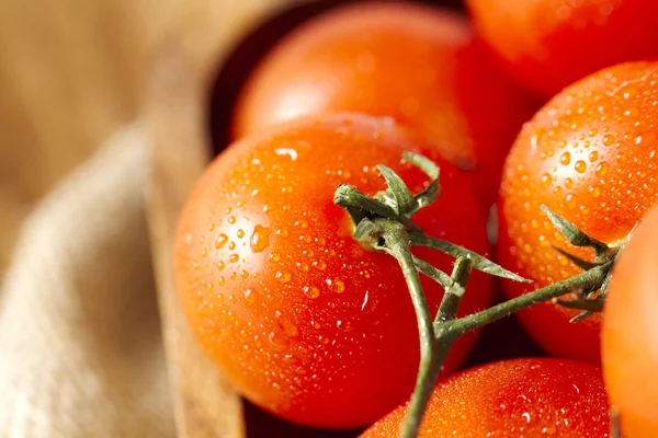 Tomates cereja molhados — Fotografia de Stock