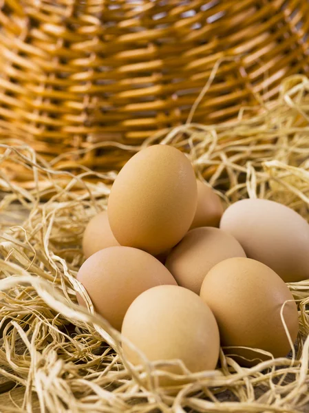 257 brown eggs on hay — Stock Photo, Image