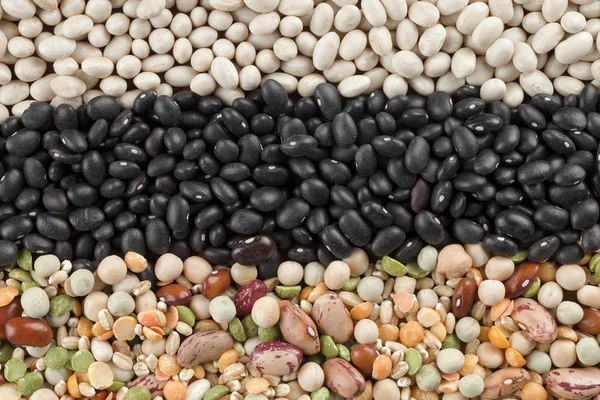 930 assorted beans — Stock Photo, Image