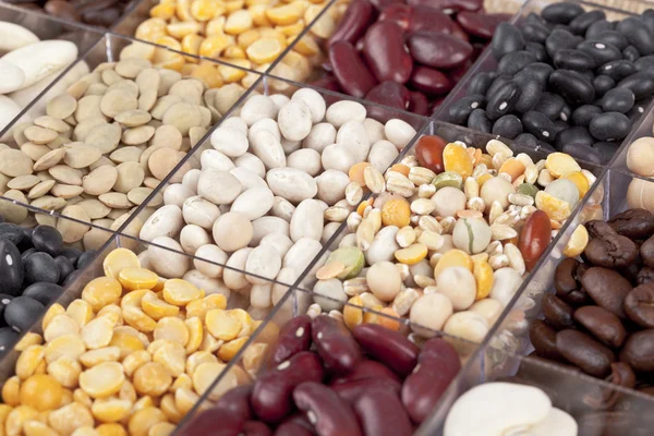 Assorted beans in glass box — Stock Photo, Image