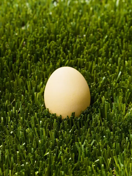Καφέ αυγό, απομονωμένη με ένα πράσινο γρασίδι — Φωτογραφία Αρχείου