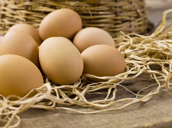 Bruin eieren op hooi — Stockfoto