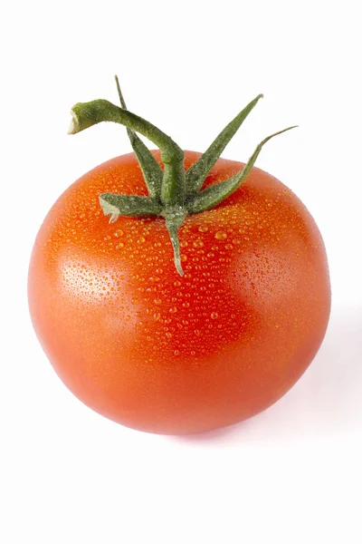 Черри-помидор — стоковое фото