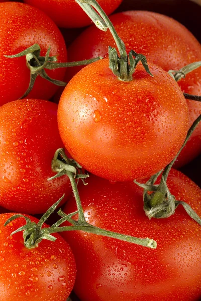 Tomates cereja — Fotografia de Stock