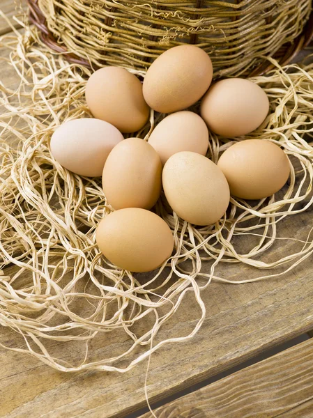 Close up of brown eggs — Stock Photo, Image