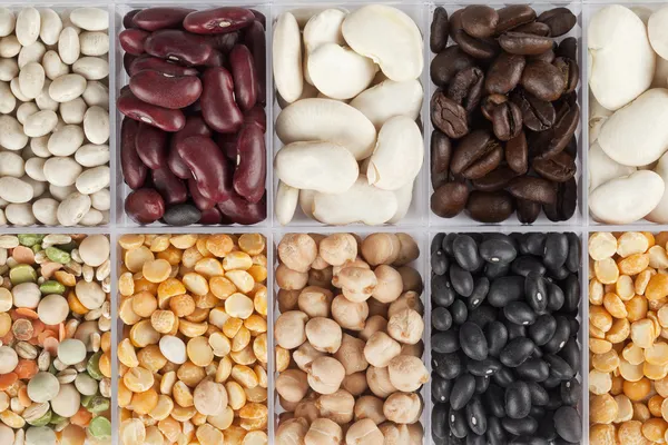 Close up shot of variety of food grains — Stock Photo, Image