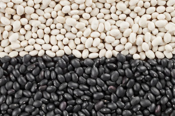 Vista de cerca de de frijoles negros y blancos — Foto de Stock