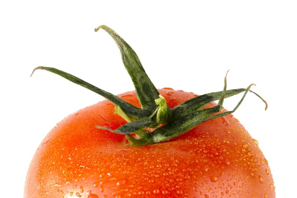 Crown of red tomato — Stock Photo, Image