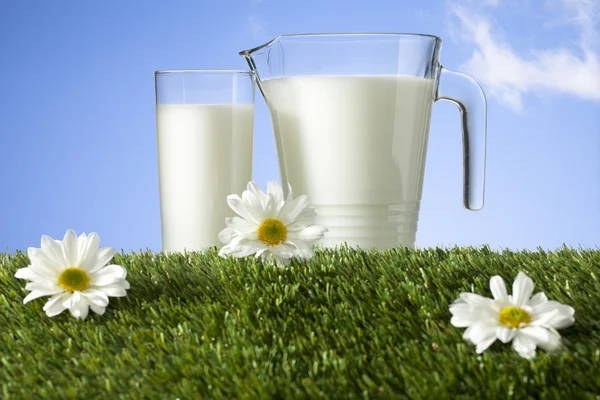 Copo e jarra de leite — Fotografia de Stock