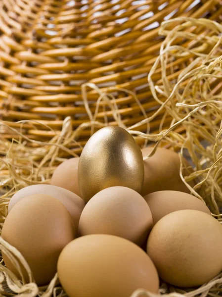Golden egg on the brown egg — Stock Photo, Image