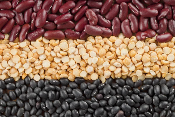 Macro shot of variety of food grains — Stock Photo, Image