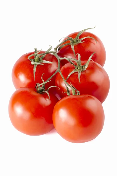 Pomodori rossi — Foto Stock