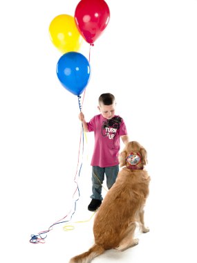 küçük bir çocuk Evcil köpekle oynamayı