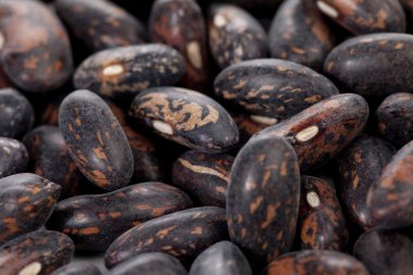 Kırmızı kuru fasulye