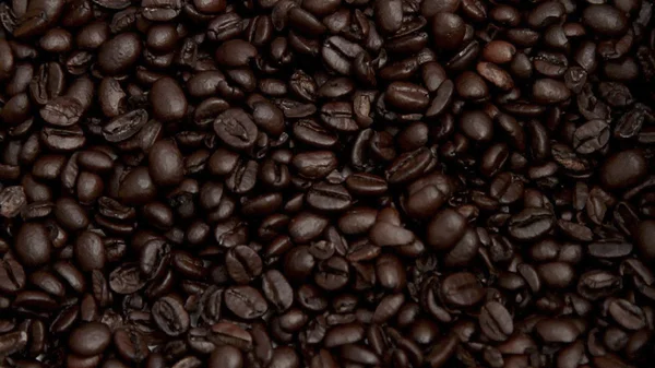593 coffee beans — Stock Photo, Image