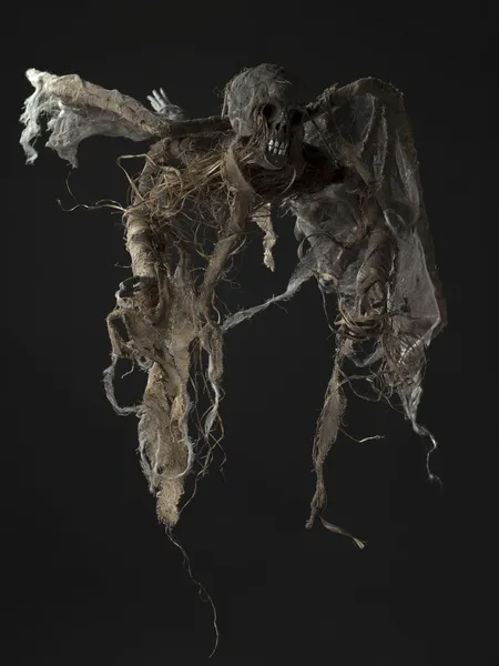 Скелет людини — стокове фото