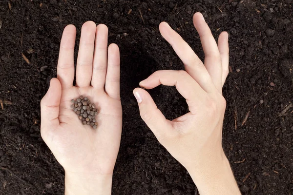 Een hand met zaden beplanting — Stockfoto