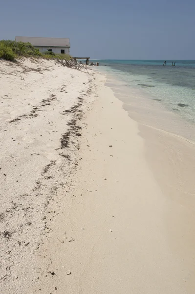 Praia em tortugas secas — Fotografia de Stock