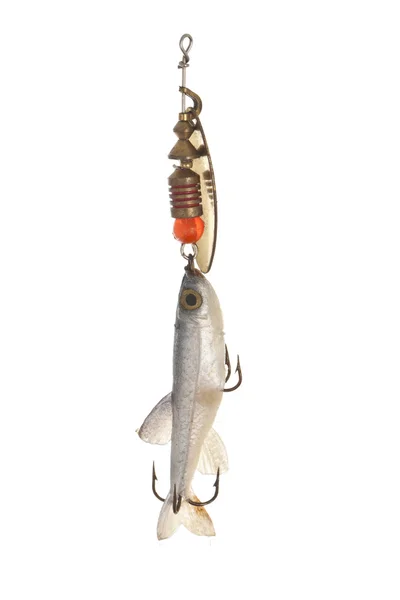 Fishing bait — Stock Photo, Image