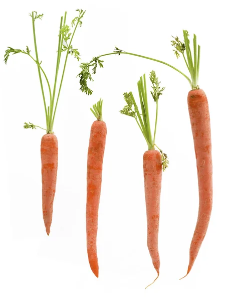 Quatro cenouras embaladas — Fotografia de Stock