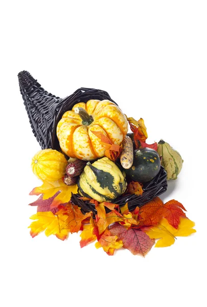 Fall decoration assortment — Stock Photo, Image