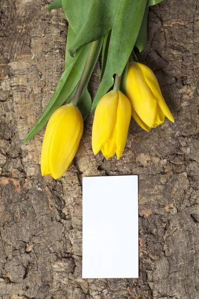 Tři žluté tulipány s bílou kartu — Stock fotografie