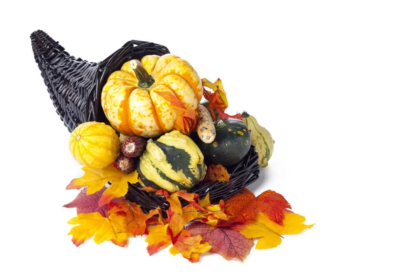 Fall decoration assortment — Stock Photo, Image