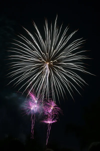 Colorful firework — Stock Photo, Image