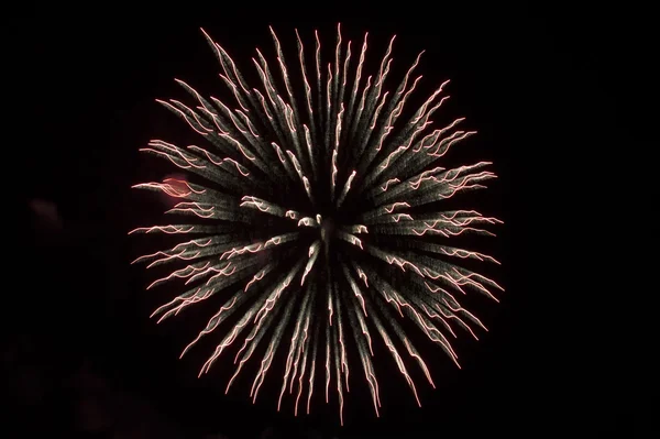 Colorful firework burst — Stock Photo, Image