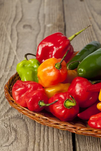 Colorful hot peppers — Stock Photo, Image