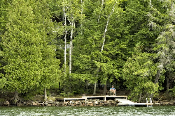 Ferienhaus im Wald von Heilbutt — Stockfoto