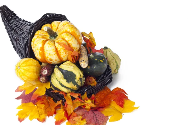 Assortment of fall decorations — Stock Photo, Image