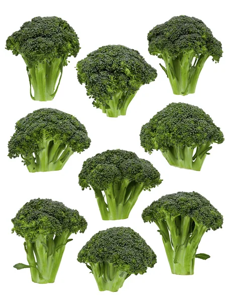 Broccoli Florets — Stock Photo, Image