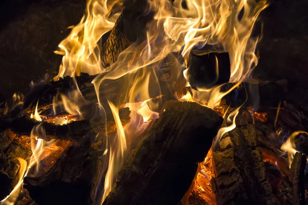 Burning bonfire — Stock Photo, Image