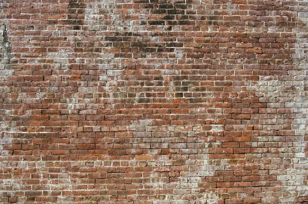 Цегляна стіна старим — стокове фото
