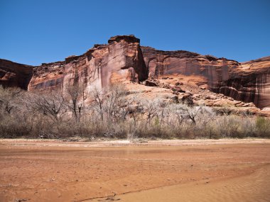 Cliff ve karşı çıplak ağaçlar gökyüzü açık