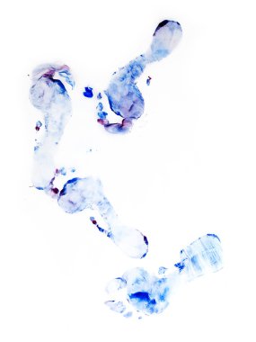 Mavi footmarks görüntü
