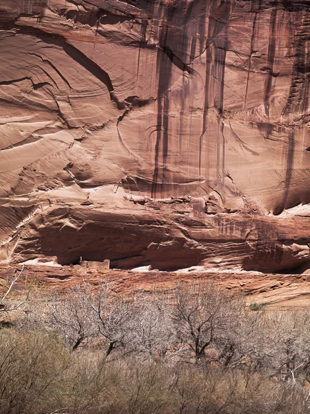 Cliff arka planda Bush'larda — Stok fotoğraf