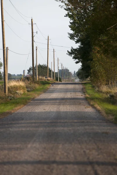 Пустая дорога с шестом сбоку — стоковое фото