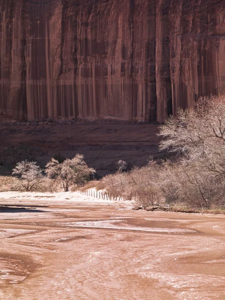Cliff ve çıplak ağaçlar — Stok fotoğraf