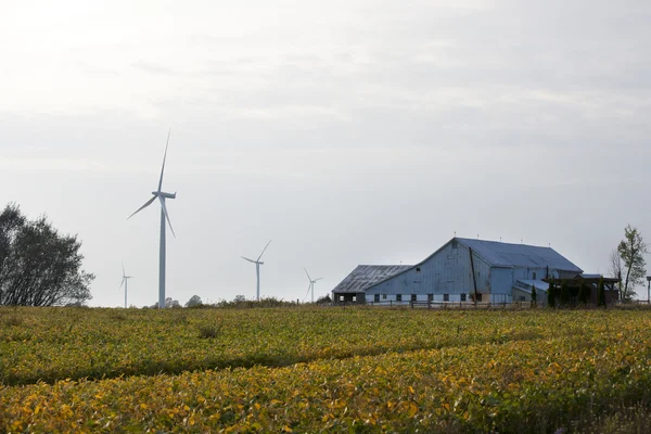 Campo con granero y viento en el fondo — Foto de Stock