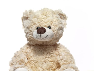 Tatlı küçük ayıcık