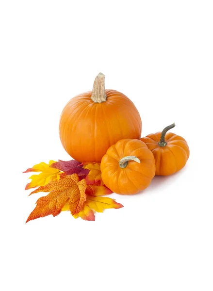 Pumpkins on leaves — Stock Photo, Image