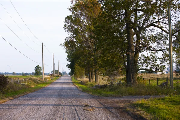 Estrada com árvores ao lado — Fotografia de Stock